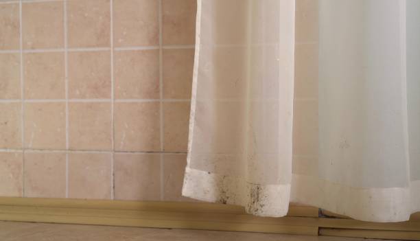 Best Indoor Air Quality Assessment  in Estherville, IA