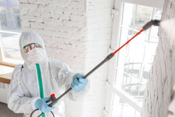 Best Post-Remediation Verification Testing  in Estherville, IA