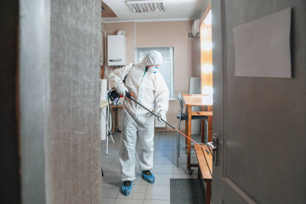 Best Mold Prevention Services  in Estherville, IA