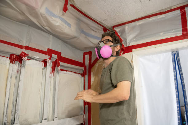 Best Industrial Mold Remediation  in Estherville, IA