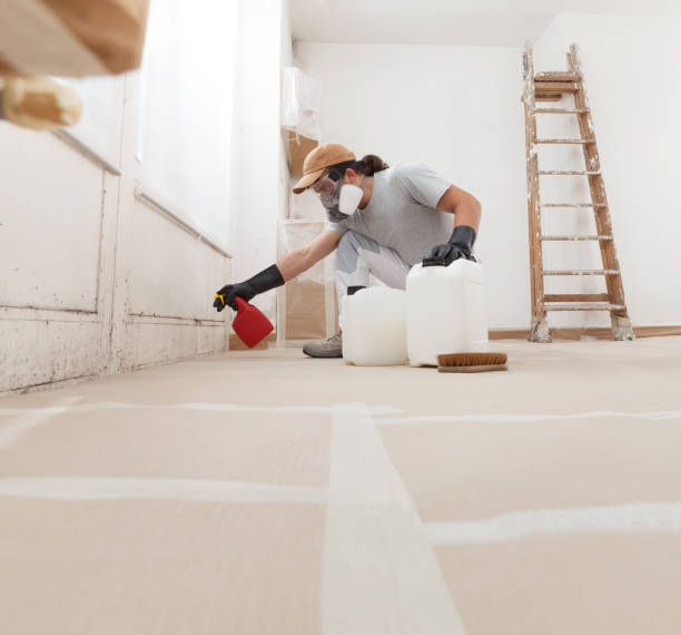 Best Residential Mold Inspection & Testing  in Estherville, IA